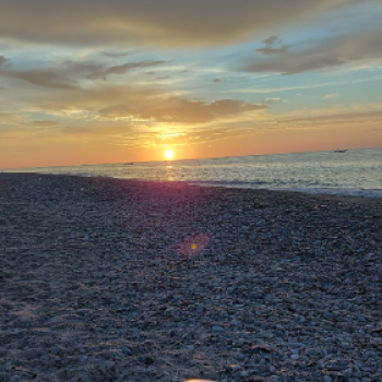 Accompagnatore gigolo Simub