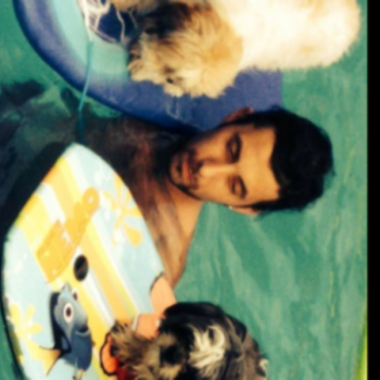 Accompagnatore gigolo Gek