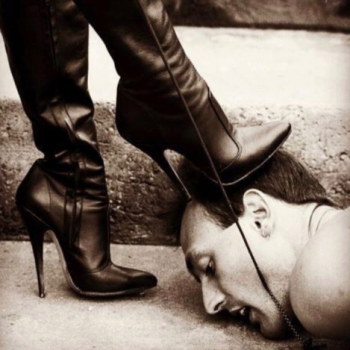 Accompagnatore gigolo Schiavoveneto