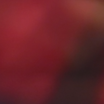 Accompagnatore gigolo Nick