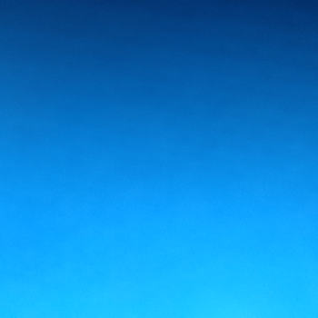 Accompagnatore gigolo Bepz