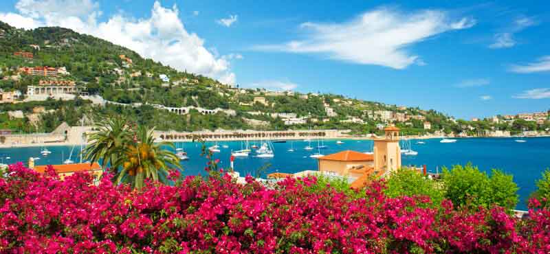 Gigolo in Costa Azzurra