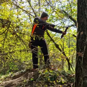 Accompagnatore gigolo Domenico