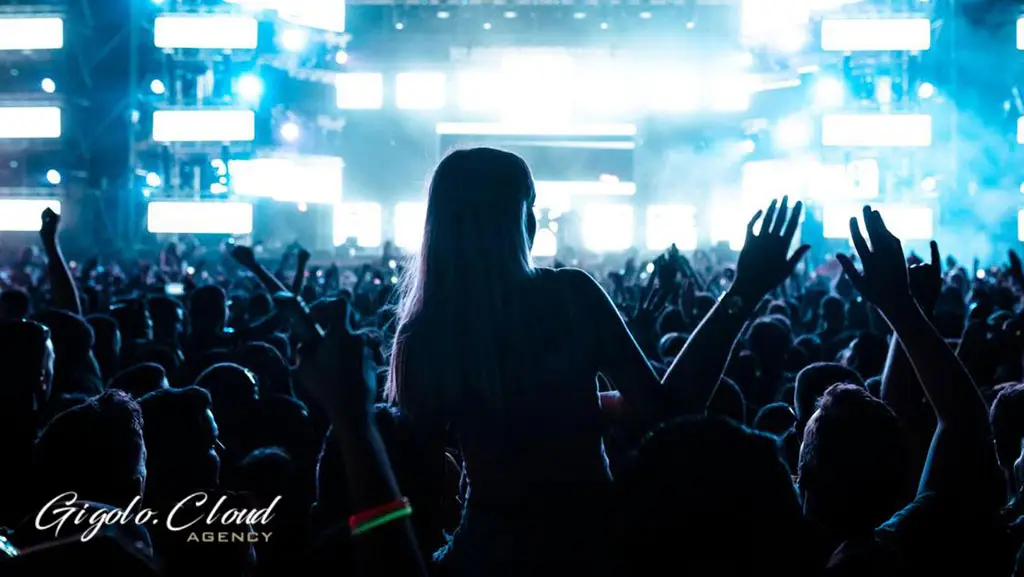 Accompagnatore per concerti, feste ed eventi musicali