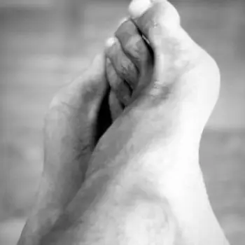 Accompagnatore gigolo Steven