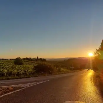 Accompagnatore gigolo Alessandro