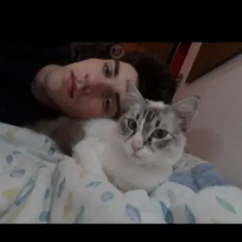 Accompagnatore gigolo Piotrlesniak