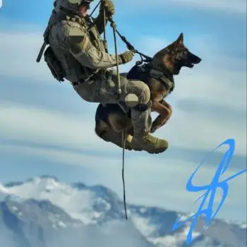 Accompagnatore gigolo Arthur🔥