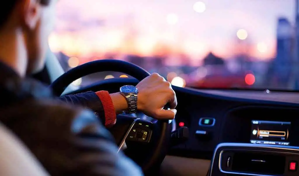 Gigolo stacanovisti e senza ritegno