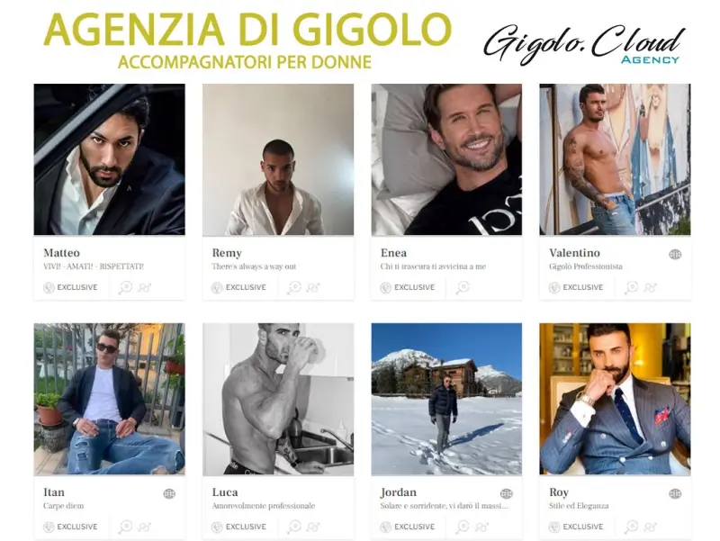 Le Agenzie di Gigolo di cosa si occupano