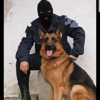 Accompagnatore gigolo Arthur🔥