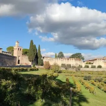 Accompagnatore gigolo Alessandro