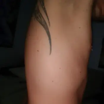 Accompagnatore gigolo Robertex