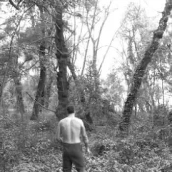 Accompagnatore gigolo Armando