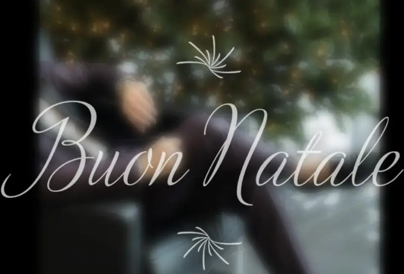 A Natale non importa cosa trovi sotto l' albero, ma chi trovi intorno a te.