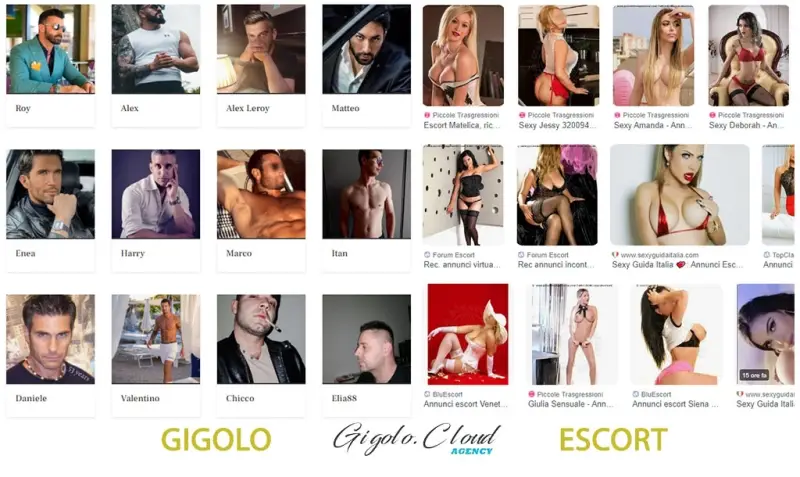 In che cosa i Gigol&ograve; si differenziano dai tradizionali servizi di Escort