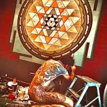 Accompagnatore gigolo Wallace 