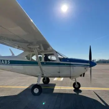 Accompagnatore gigolo Stefanotex