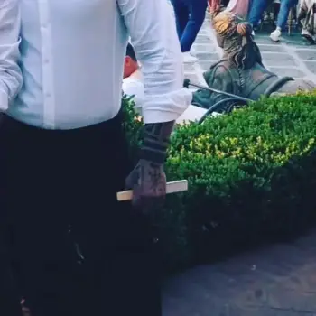 Accompagnatore gigolo Axelseduction