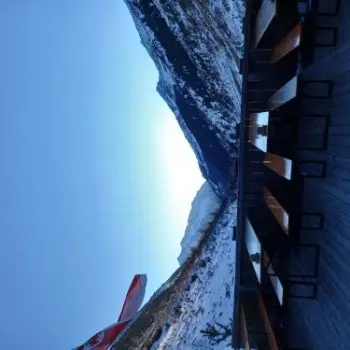 Accompagnatore gigolo Stefanotex