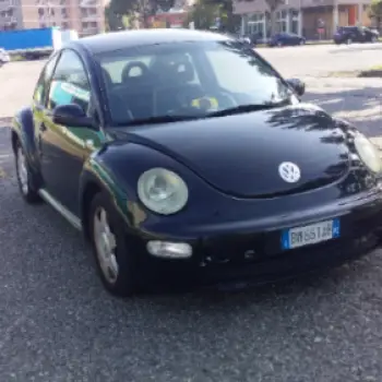 Accompagnatore gigolo Robertosx