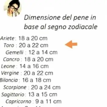 Accompagnatore gigolo Newrocco