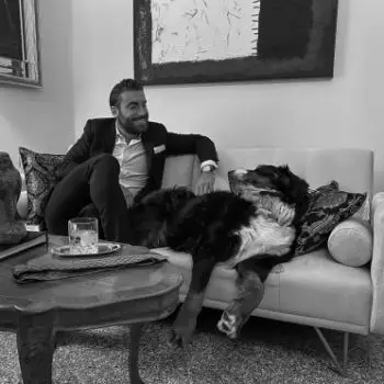 Accompagnatore gigolo L