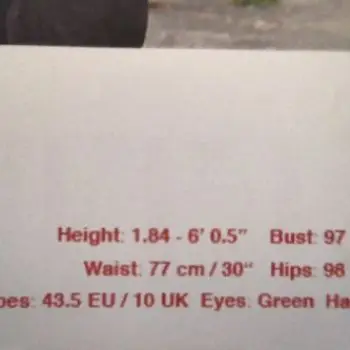 Accompagnatore gigolo Rino96