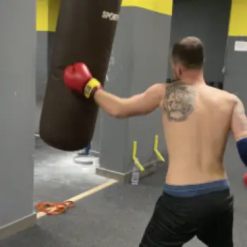 Accompagnatore gigolo Alpha