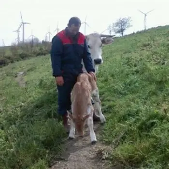 Accompagnatore gigolo Newrocco