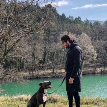 Accompagnatore gigolo L