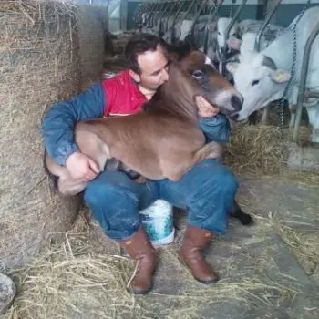 Accompagnatore gigolo Newrocco