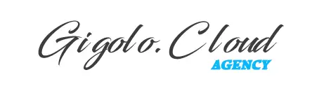 Cosa sapere prima di diventare un Gigolo