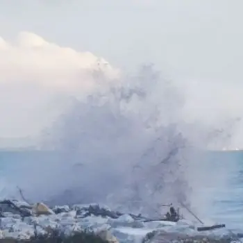 Accompagnatore gigolo Mirco1984