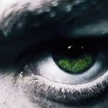 Accompagnatore gigolo Fra90