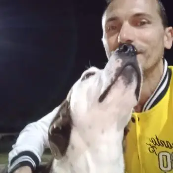 Accompagnatore gigolo Daniele 70