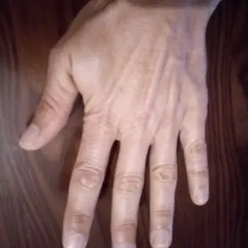 Accompagnatore gigolo Felixx