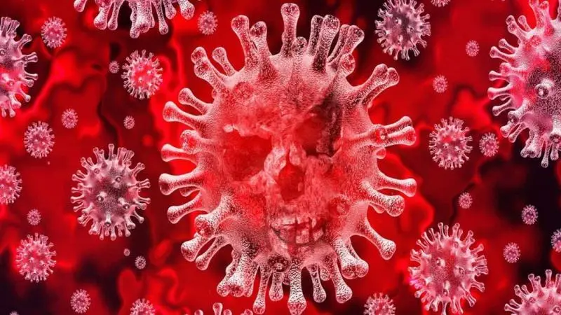 Gigolo ai tempi del coronavirus