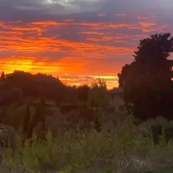 Accompagnatore gigolo Alessandro