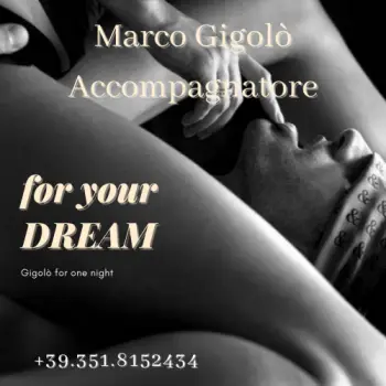 Accompagnatore gigolo Marco81