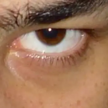 Accompagnatore gigolo Andy Milano