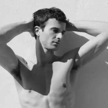 Accompagnatore gigolo Temi