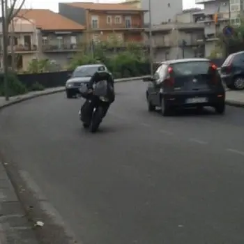 Accompagnatore gigolo Themer Black