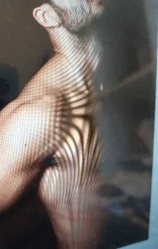 Accompagnatore gigolo Paolorossi