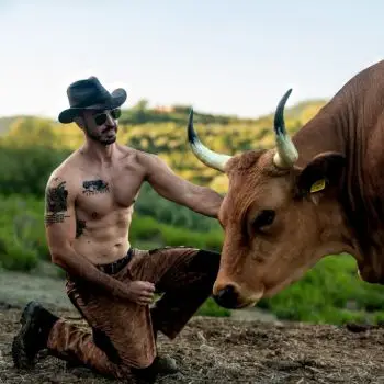 Accompagnatore gigolo Dave