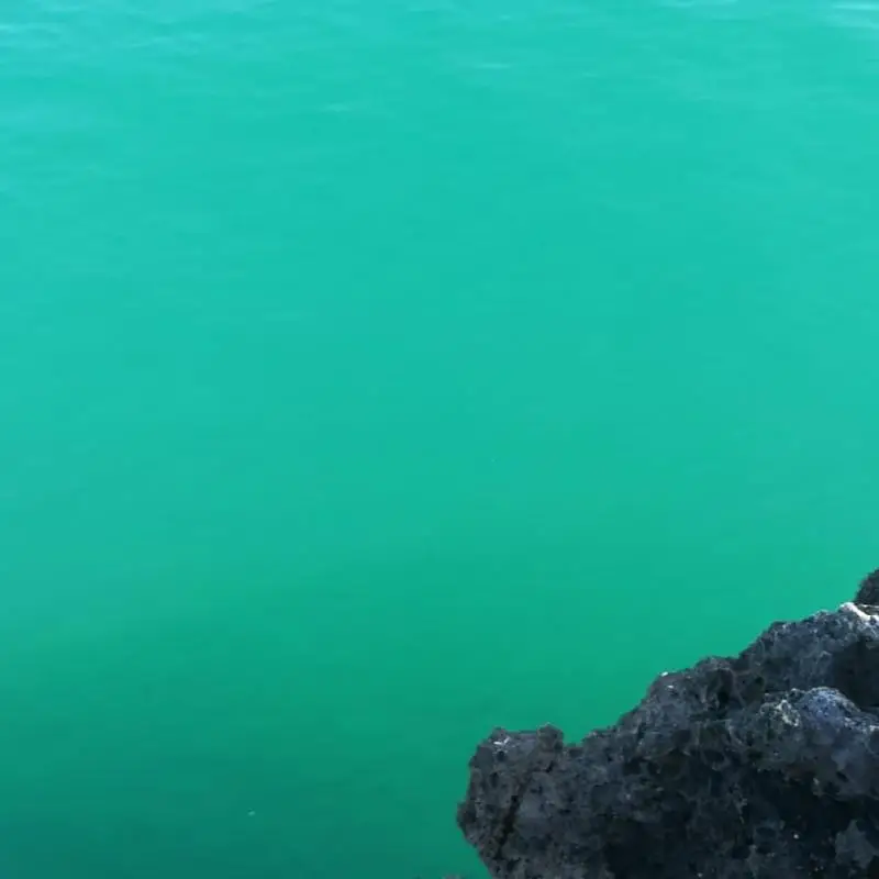 Come &egrave; profondo il mare