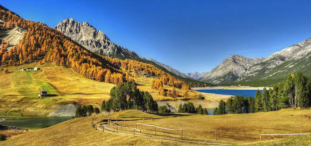 Gigolo in Valtellina