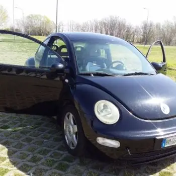 Accompagnatore gigolo Robyb