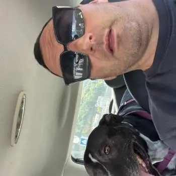 Accompagnatore gigolo Marcobuccola