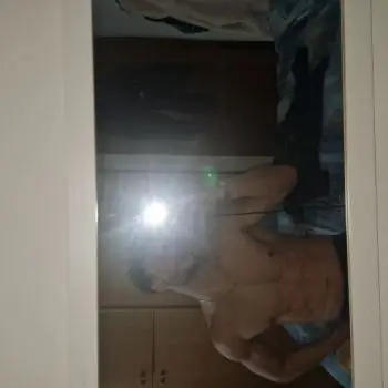 Accompagnatore gigolo Clerici